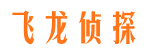 静宁侦探公司